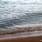 20100826_080_small.JPG
