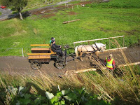 IMG_4126.JPG