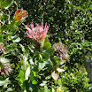 P1000746.JPG