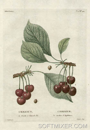 image image