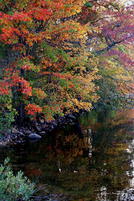 [Autumn_1%255B3%255D.jpg]