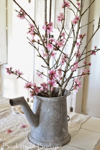 [Spring%2520table%25206%255B4%255D.jpg]
