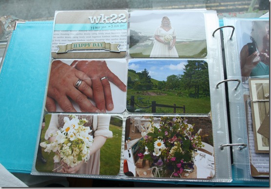 IMG_4130 IMG_4130