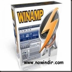 Winamp Pro v5.6 Türkçe Full indir