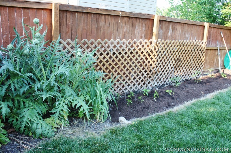 [Small%2520space%2520gardening%2520%2528800x533%2529%255B8%255D.jpg]