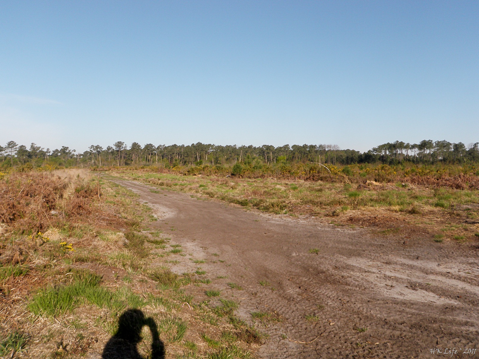 [P4142029%255B3%255D.jpg]