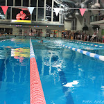 28.10.11 Eesti Ettevõtete Sügismängud 2011 / reedene ujumine - AS28OKT11FS_R055S.jpg