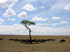DSCN5856.JPG