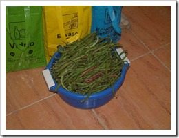 DSCF4133 DSCF4133