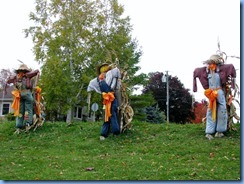 IMG_3968 IMG_3968