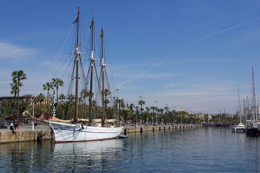 IMGP0599.JPG