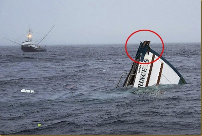 boat-sinks-cats-swim_fran