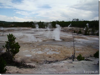 110825 NP Yellowstone (9)