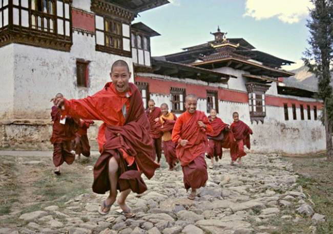 Best picture by Travelers