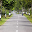 A Beautiful (And Relatively Quiet) Tree Lined Highway - Bali, Indonesia