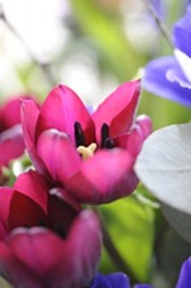 20120223_101013