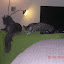 cats_reneseme_2010-05-29_01.jpg cats_reneseme_2010-05-29_01.jpg