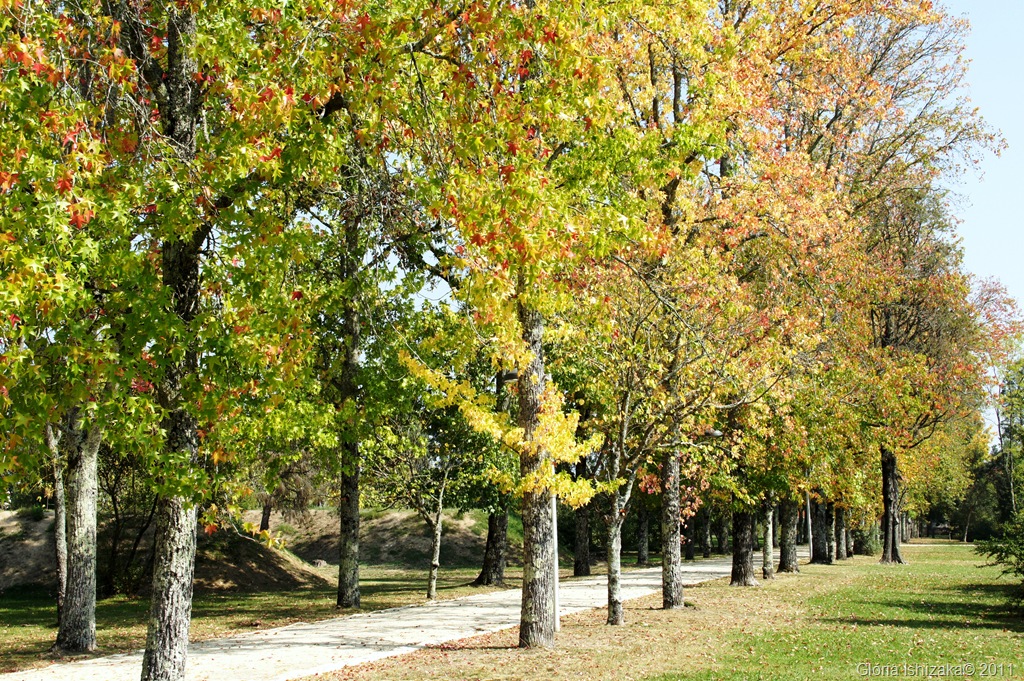 [23%2520-%2520Gl%25C3%25B3ria%2520Ishizaka%2520-%2520Outono%2520-%25202011%2520-%2520Portugal%2520-%2520mealhada%255B6%255D.jpg]