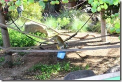 IMG_6501 IMG_6501