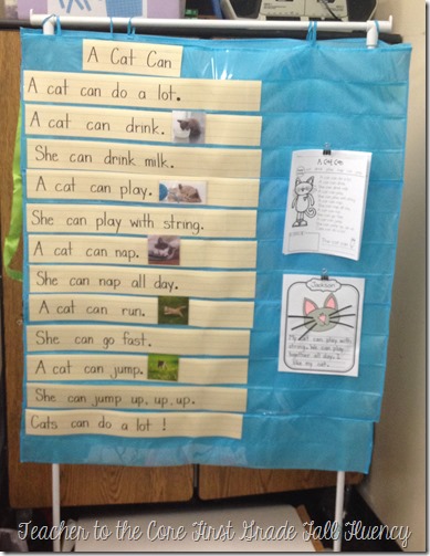 Great blog post on how to start teaching fluency at the start of first grade