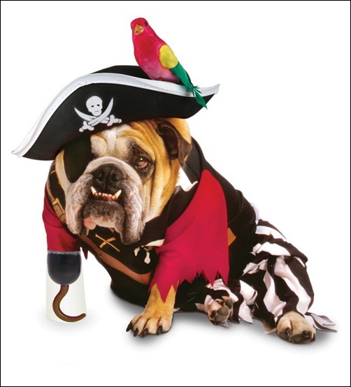 pirate_dog_costum