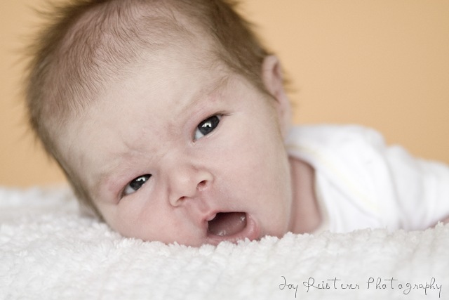 [noahblogimg_0154%255B7%255D.jpg]