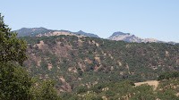 DSC02962.jpg