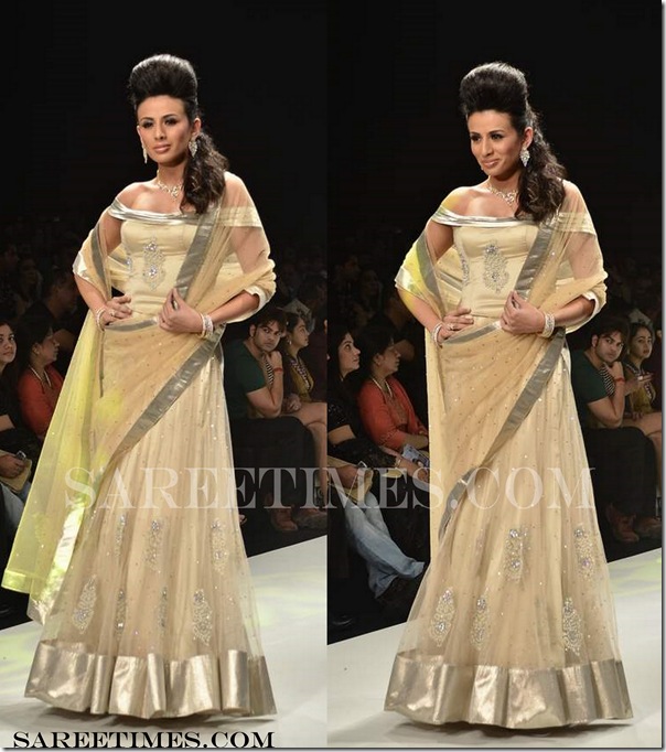 Tan_Designer_Saree