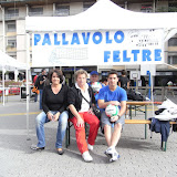 RIMG0179.JPG