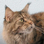 wilma.jpg
