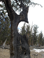 HPIM2392.JPG Photo