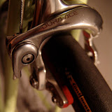 DSC02890.jpg