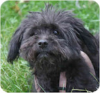 Mazel, from Princeton, New Jersey Mazel, from Princeton, New Jersey