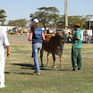 superleite2011_dia1507_116.JPG