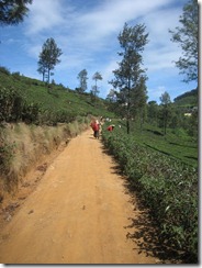 IMG_6441 IMG_6441
