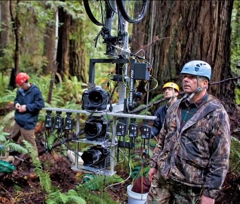 redwood-camera-rig.jpg