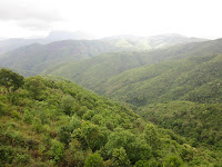 IMG_0999.JPG