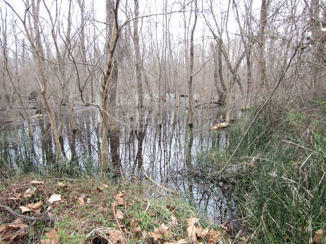 [IMG_04993.jpg]