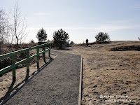 dsc06682.jpg