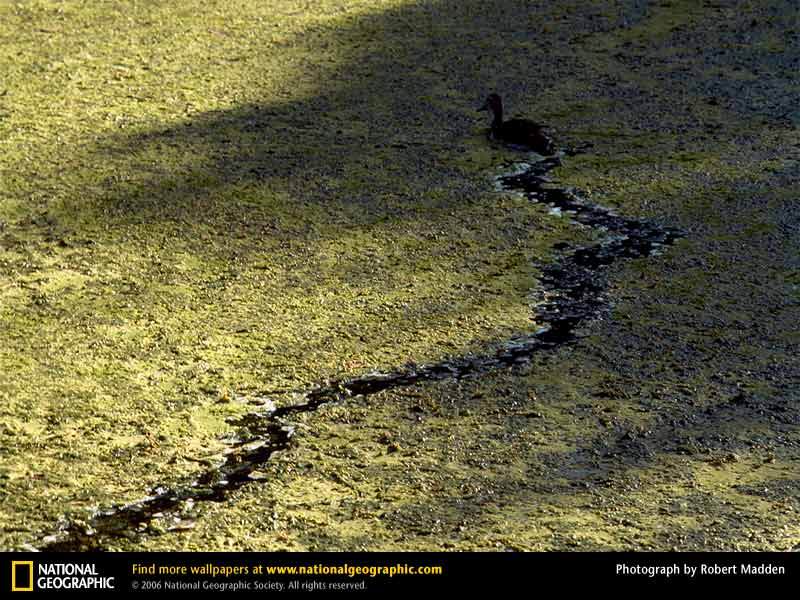 Some photos from National Geographic