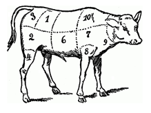 c0 cuts of beef line drawing