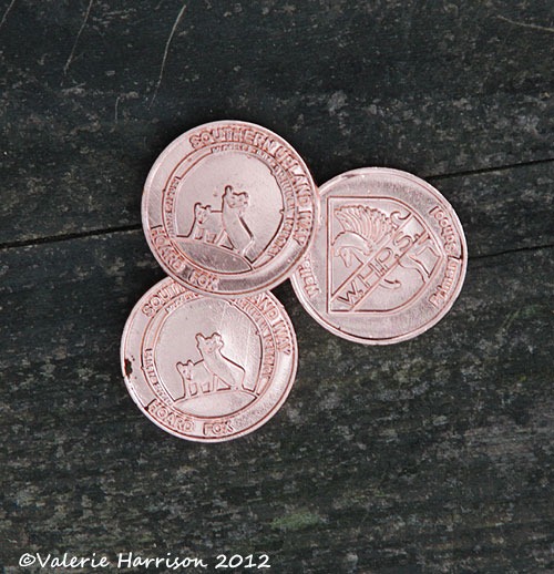 [27-shiny-merks%255B2%255D.jpg]