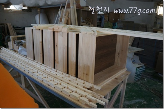 철천지DSC07786-20120802-100645 철천지DSC07786-20120802-100645