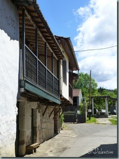 P1030372 P1030372