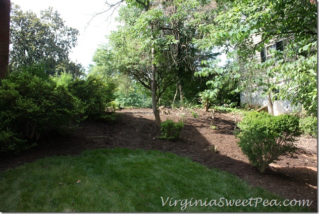 Yard Renovation Yard Renovation