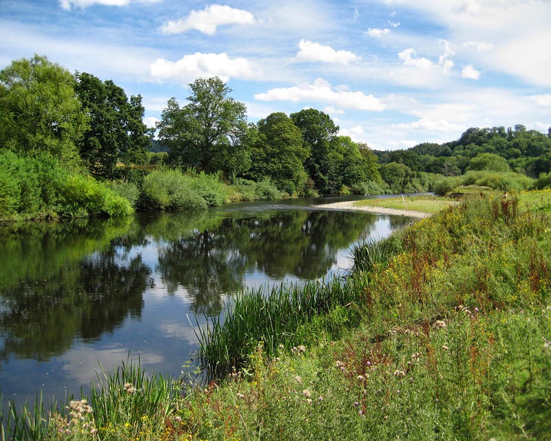 [Downstream%255B3%255D.jpg]