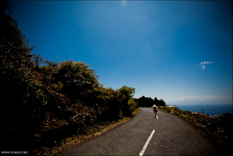 025 www.ychilov.ru foto tenerife.jpg