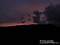 Puszcza Notecka podświetlona zmrokiem...