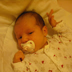 DSCF0167.JPG