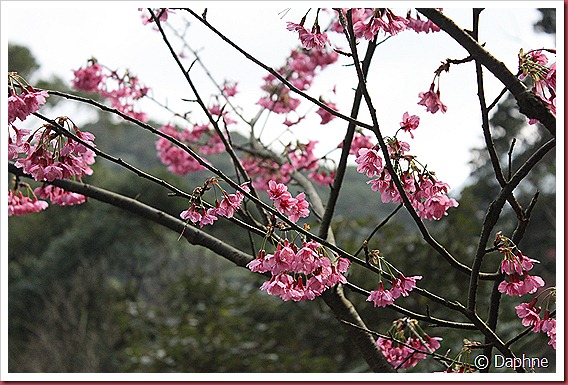 IMG_1839 IMG_1839